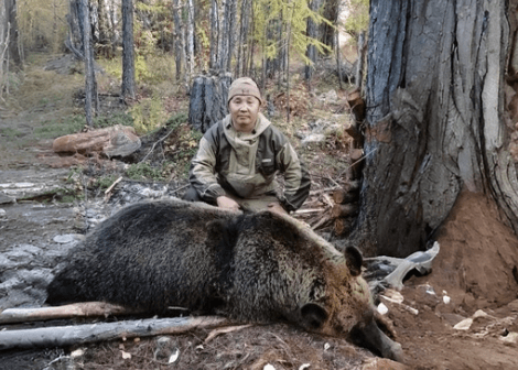 Рекорд якутского охотника — 9 медведей!