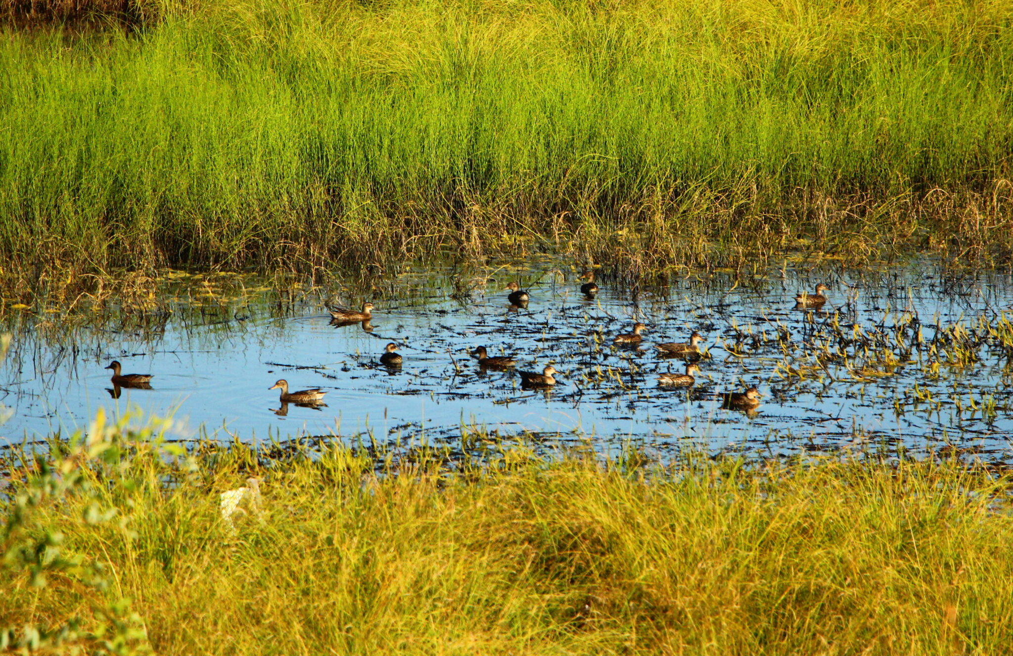 Не забудьте зонт: В столице обещают дождь