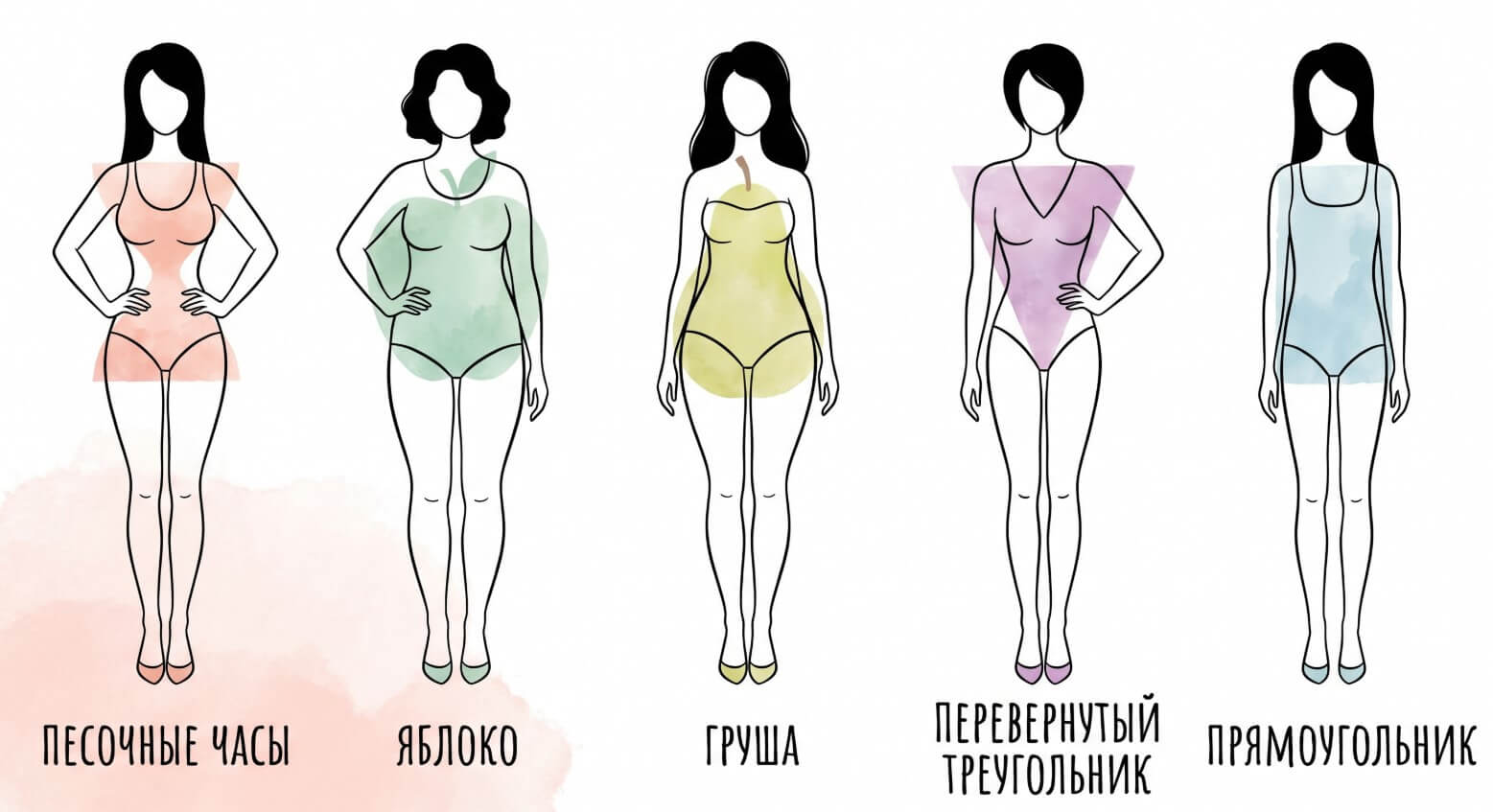 5 типов женских фигур: Как выгодно подчеркнуть достоинства?