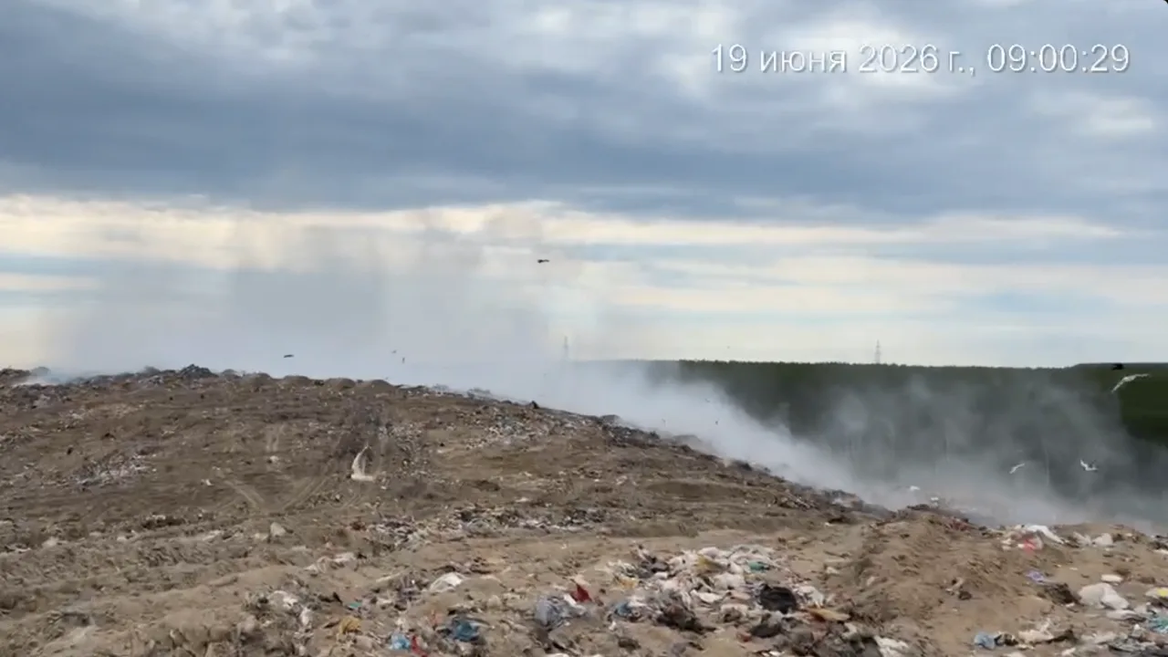 Обстановка на мусорном полигоне
