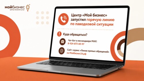 Паводок: Центр Мой бизнес запустил горячую линию