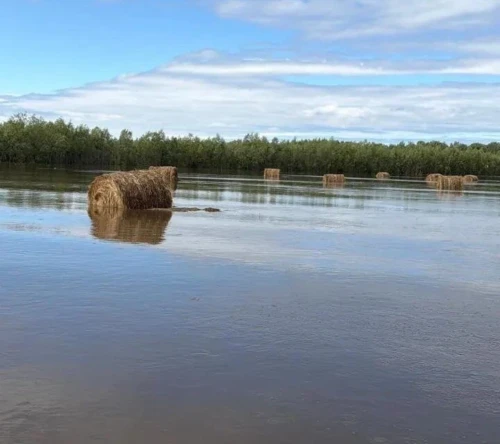 Печальная хроника и грустная реальность