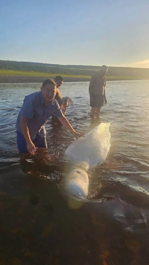 Заметили то, чего никак не ожидали увидеть