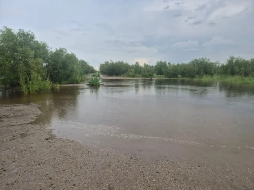 Экстренное предупреждение: Зеленый луг уходит под воду