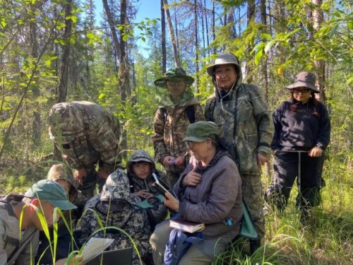 Наука в полевых условиях: От теории к практике
